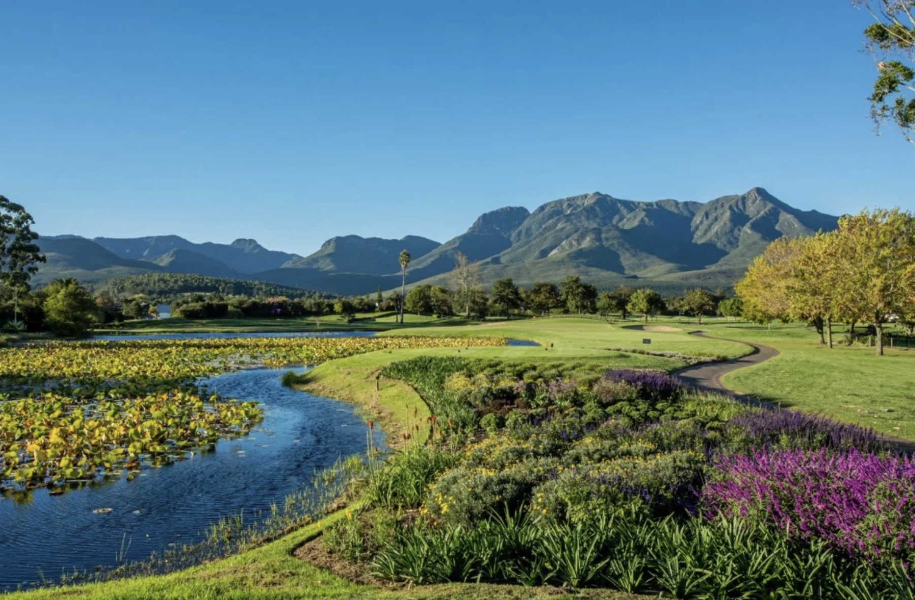 Weekend at Fancourt - Image 4